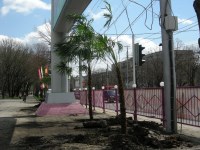 Аллея журналистов1 Аллея журналистов1
