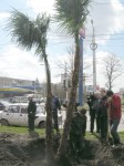 Аллея журналистов 2 Аллея журналистов 2