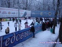 Ледовый каток 2010