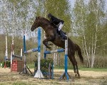 Конные соревнования 7-8 мая 2011 Конные соревнования 7-8 мая 2011