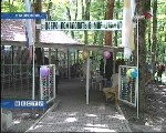 Всемирный день шахмат Всемирный день шахмат