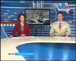 Тигренок зоопарк СГТРК Тигренок зоопарк СГТРК